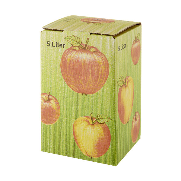 50Stück 5 Liter Bag in Box Karton in Apfeldekor 1,02€/1Stk 